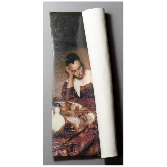 Vermeer - Slapend meisje - Tineke van Gils