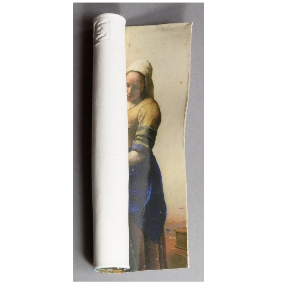 Vermeer - Het melkmeisje - Tineke van Gils
