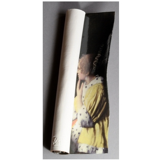 Vermeer - Dame en dienstbode - Tineke van Gils