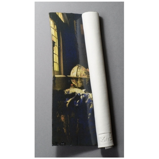 Vermeer - De astronoom - Tineke van Gils
